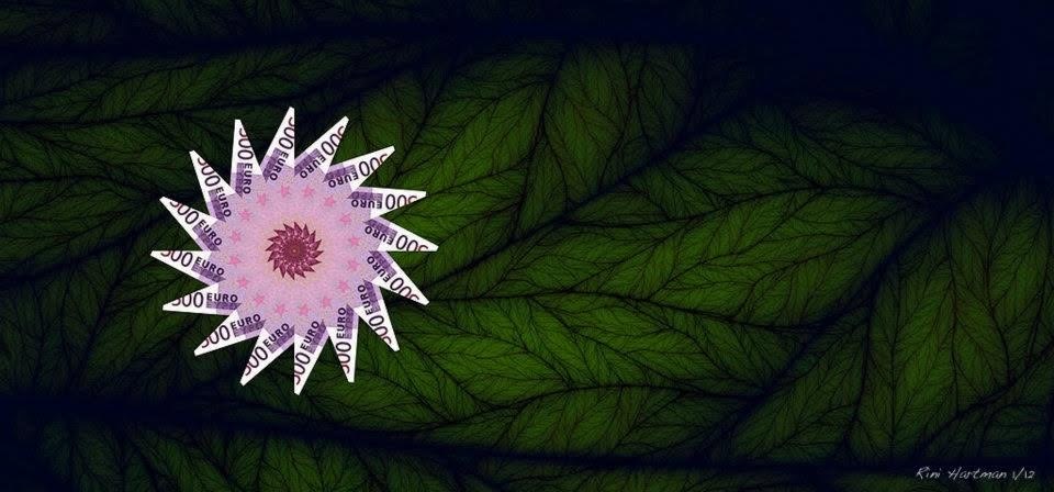 We both started crying as we saw our future: a star-shaped flower made of 500 euro notes against dark green leaves